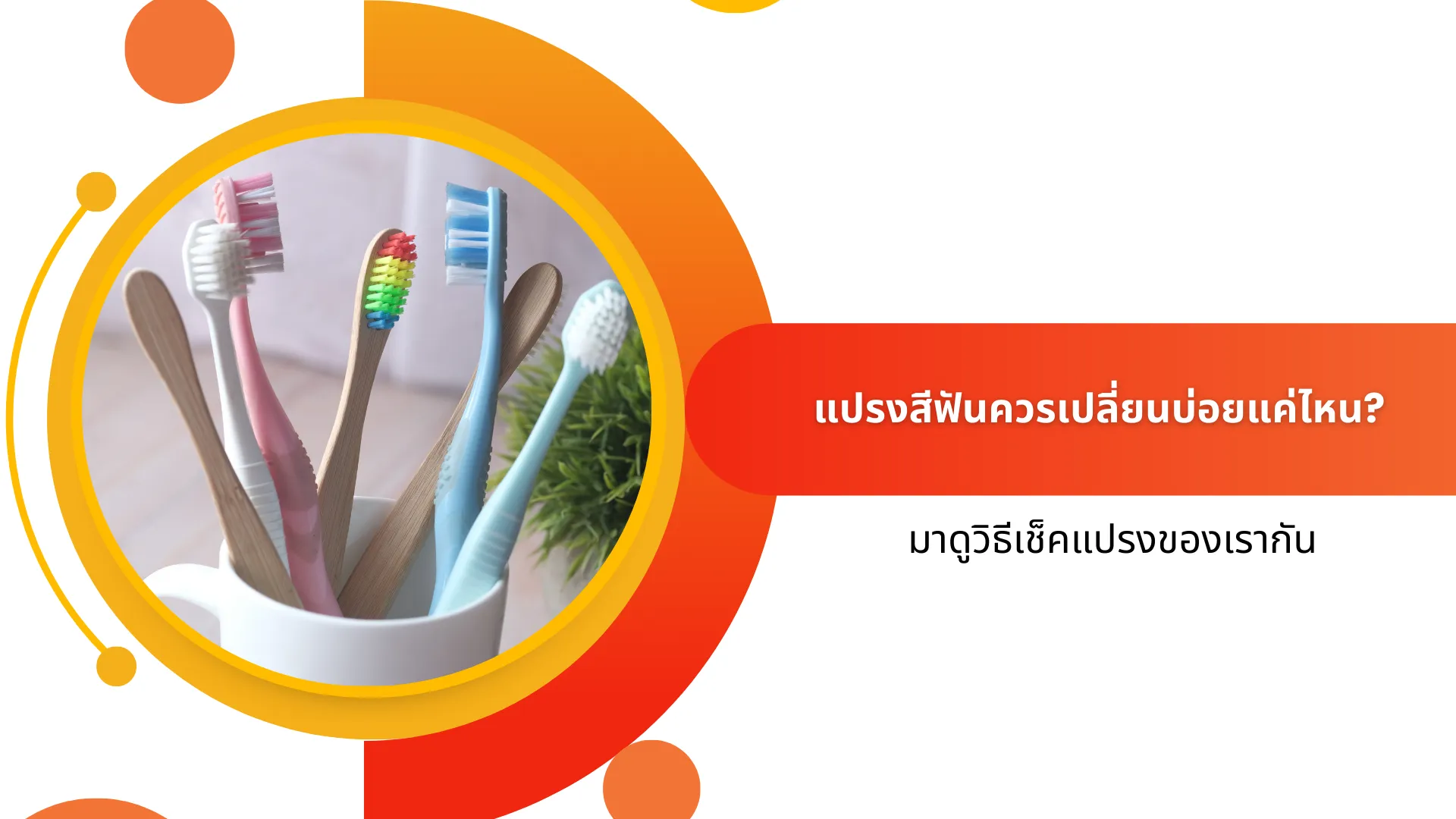 how-often-should-i-change-my-toothbrush