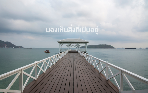 มองเห็นสิ่งที่เป็นอยู่