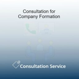 Consultation for Company formation - lsc