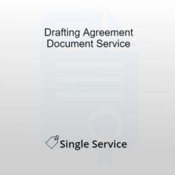 Drafting Agreement Document Service India