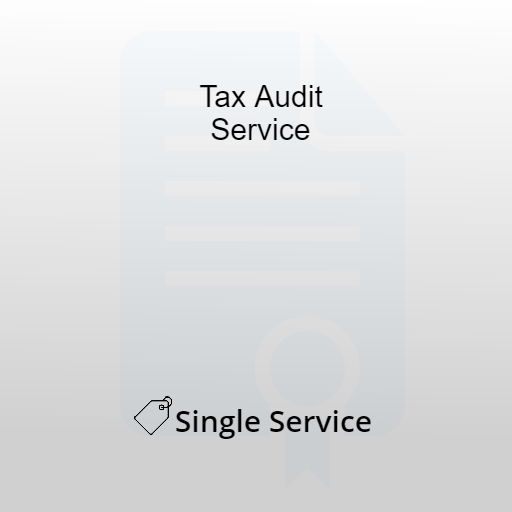 Tax Audit Service